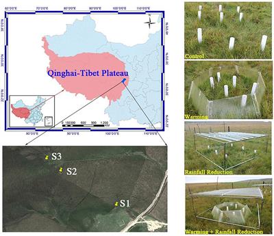 Variation in the Soil Prokaryotic Community Under Simulated Warming and Rainfall Reduction in Different Water Table Peatlands of the Zoige Plateau